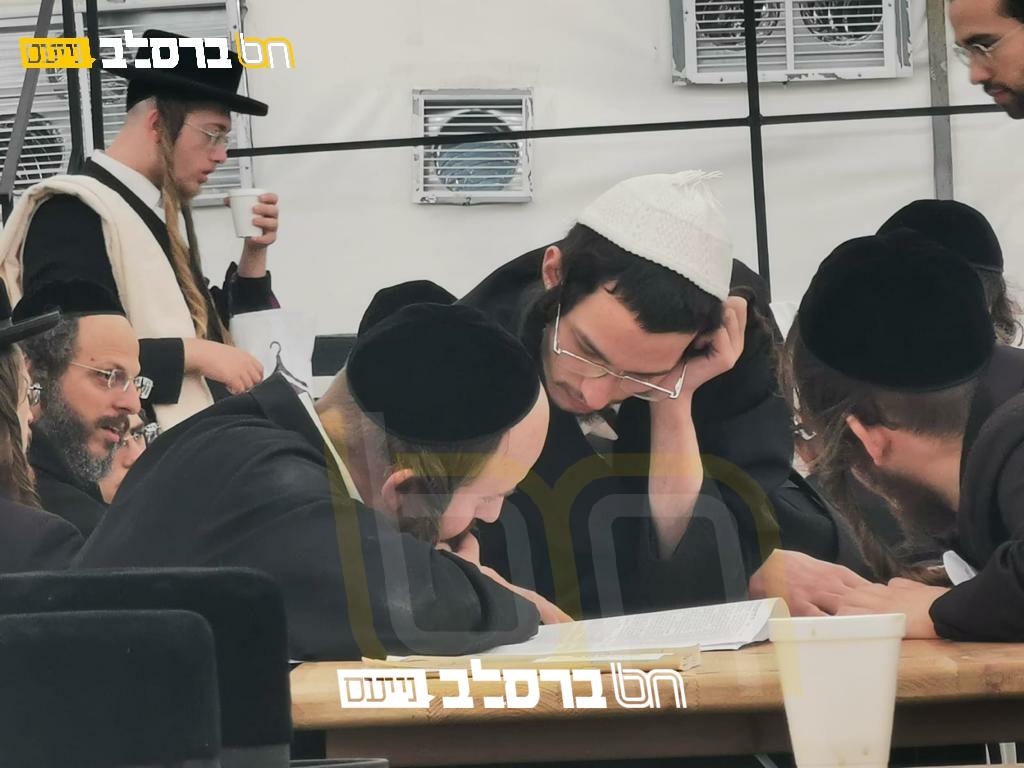 התורה הזמנית • חדשות לטייל בתורתו